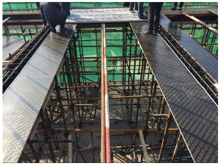 QQ截圖20190107163417.jpg QQ截圖20190107163417.jpg